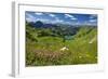 Lake Seealpsee at Nebelhorn Mountain (2224m), Oberstdorf, Allgaeu, Swabia, Bavaria, Germany-null-Framed Art Print