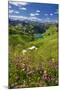 Lake Seealpsee at Nebelhorn Mountain (2224m), Oberstdorf, Allgaeu, Swabia, Bavaria, Germany-null-Mounted Art Print