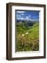 Lake Seealpsee at Nebelhorn Mountain (2224m), Oberstdorf, Allgaeu, Swabia, Bavaria, Germany-null-Framed Art Print