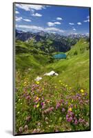 Lake Seealpsee at Nebelhorn Mountain (2224m), Oberstdorf, Allgaeu, Swabia, Bavaria, Germany-null-Mounted Art Print