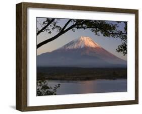 Lake Shoji-Ko and Mount Fuji in Evening Light, Fuji-Hakone-Izu National Park, Honshu, Japan, Asia-Gavin Hellier-Framed Photographic Print