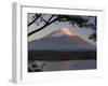 Lake Shoji-Ko and Mount Fuji in Evening Light, Fuji-Hakone-Izu National Park, Honshu, Japan, Asia-Gavin Hellier-Framed Photographic Print