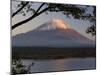 Lake Shoji-Ko and Mount Fuji in Evening Light, Fuji-Hakone-Izu National Park, Honshu, Japan, Asia-Gavin Hellier-Mounted Photographic Print