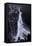 Lake Shore Drive Aerial Black White-Steve Gadomski-Framed Stretched Canvas