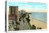 Lake Shore Drive, Chicago, Illinois-null-Stretched Canvas