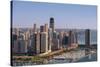 Lake Shore Drive Curve Chicago-Steve Gadomski-Stretched Canvas