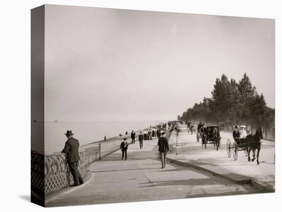 Lake Shore Drive, Lincoln Park, Chicago, Ill.-null-Stretched Canvas
