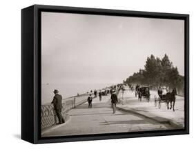 Lake Shore Drive, Lincoln Park, Chicago, Ill.-null-Framed Stretched Canvas