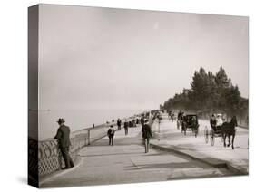 Lake Shore Drive, Lincoln Park, Chicago, Ill.-null-Stretched Canvas