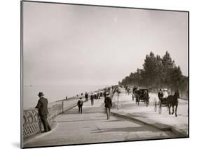 Lake Shore Drive, Lincoln Park, Chicago, Ill.-null-Mounted Photo