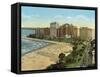 Lake Shore Drive-null-Framed Stretched Canvas