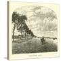 Lake-Shore Drive-null-Stretched Canvas