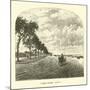 Lake-Shore Drive-null-Mounted Giclee Print