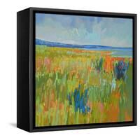 Lake Shore II-Jane Schmidt-Framed Stretched Canvas