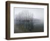 Lake, Shore, Wood, Water Surface, Reflexion, Hoarfrost, Winter-Roland T.-Framed Photographic Print