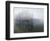 Lake, Shore, Wood, Water Surface, Reflexion, Hoarfrost, Winter-Roland T.-Framed Photographic Print