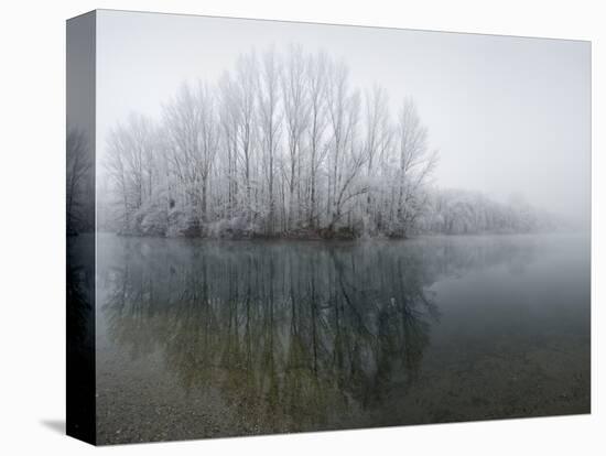 Lake, Shore, Wood, Water Surface, Reflexion, Hoarfrost, Winter-Roland T.-Stretched Canvas