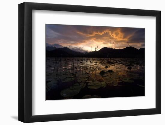 Lake Skadar at Sunset, Lake Skadar National Park, Montenegro, May 2008-Radisics-Framed Photographic Print