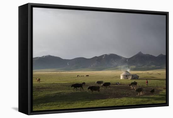Lake Song-Kol, Kyrgyzstan, Central Asia-Eitan Simanor-Framed Stretched Canvas