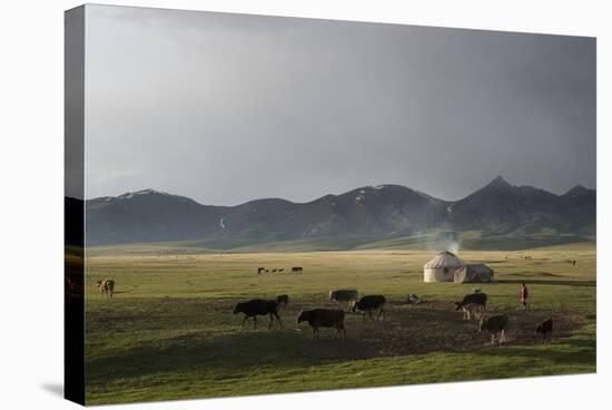 Lake Song-Kol, Kyrgyzstan, Central Asia-Eitan Simanor-Stretched Canvas
