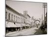 Lake St., Petoskey, Mich.-null-Mounted Photo