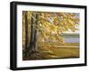 Lake Starnberg-Wilhelm Trubner-Framed Giclee Print