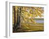 Lake Starnberg-Wilhelm Trubner-Framed Giclee Print