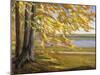 Lake Starnberg-Wilhelm Trubner-Mounted Giclee Print