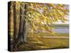 Lake Starnberg-Wilhelm Trubner-Stretched Canvas