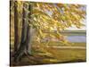 Lake Starnberg-Wilhelm Trubner-Stretched Canvas