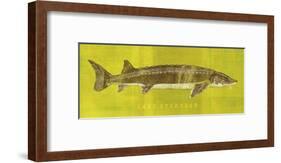 Lake Sturgeon-John Golden-Framed Art Print