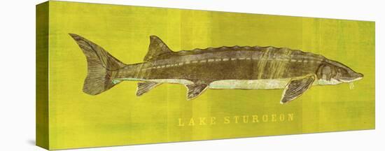 Lake Sturgeon-John Golden-Stretched Canvas
