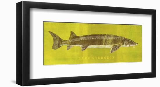 Lake Sturgeon-John W^ Golden-Framed Art Print