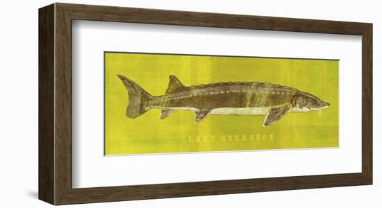 Lake Sturgeon-John W^ Golden-Framed Art Print