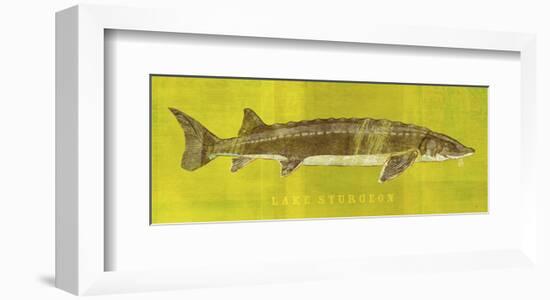 Lake Sturgeon-John W^ Golden-Framed Art Print