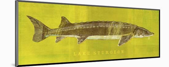 Lake Sturgeon-John W^ Golden-Mounted Art Print