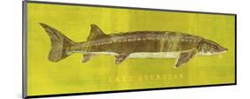 Lake Sturgeon-John W^ Golden-Mounted Art Print