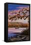 Lake Sunset Scene-Lantern Press-Framed Stretched Canvas