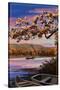 Lake Sunset Scene-Lantern Press-Stretched Canvas