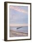 Lake Superior seen from beach at Whitefish Point, Upper Peninsula, Michigan-Alan Majchrowicz-Framed Photographic Print