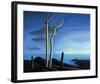 Lake Superior-Lawren S^ Harris-Framed Premium Giclee Print