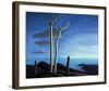 Lake Superior-Lawren S^ Harris-Framed Premium Giclee Print