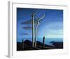 Lake Superior-Lawren S^ Harris-Framed Premium Giclee Print