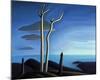 Lake Superior-Lawren S^ Harris-Mounted Premium Giclee Print