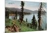 Lake Tahoe, California - Carnelian Bay Scene-Lantern Press-Mounted Premium Giclee Print