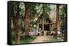 Lake Tahoe, California - Chapel of the Transfiguration Near Tahoe Tavern-Lantern Press-Framed Stretched Canvas