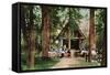 Lake Tahoe, California - Chapel of the Transfiguration Near Tahoe Tavern-Lantern Press-Framed Stretched Canvas