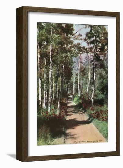 Lake Tahoe, California - Glen Alpine Springs Aspen Road-Lantern Press-Framed Art Print