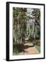 Lake Tahoe, California - Glen Alpine Springs Aspen Road-Lantern Press-Framed Art Print