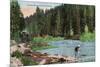 Lake Tahoe, California - Truckee River Near Tahoe Tavern Scene-Lantern Press-Mounted Premium Giclee Print